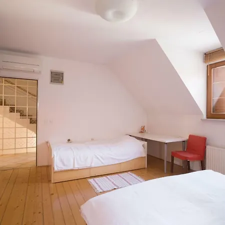 Spacious 2-bedroom Zabjak With Ac Tour As شقة ليوبليانا